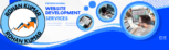 Website design services